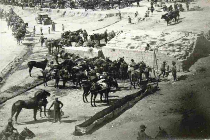 Battle of Haifa - The Last Great Cavalry Campaign in History