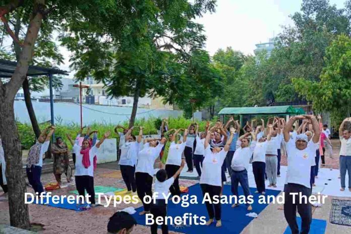 Explore Different Types of Yoga Asanas and Their Benefits