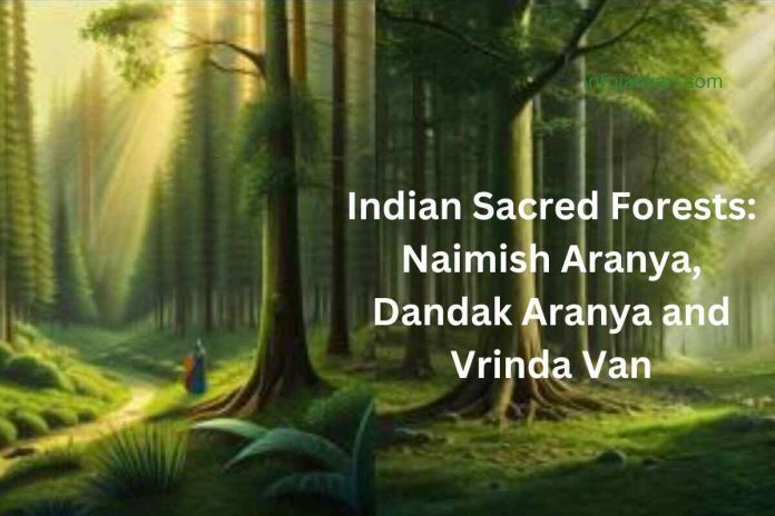 Indian Sacred Forests: Contributing to the Welfare of the World