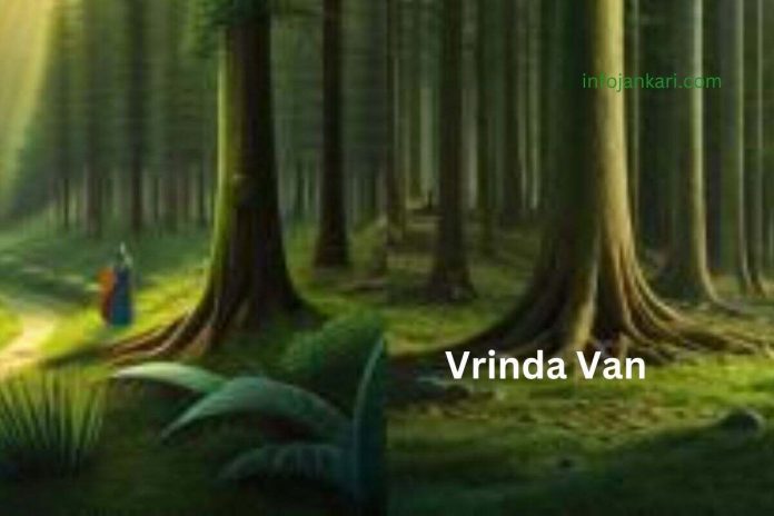 Vrindavan: Where Divine Love Blossoms Amidst Nature's Beauty