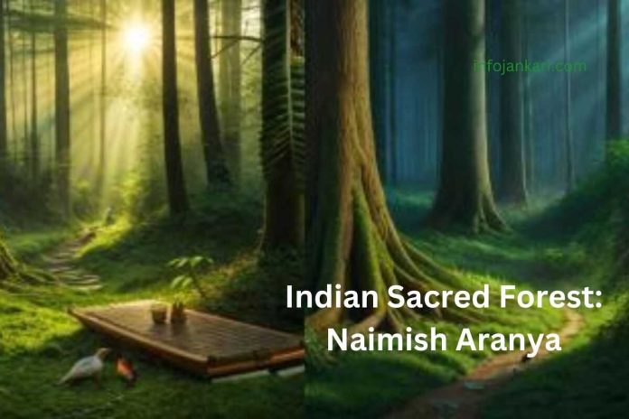 Naimisharanya: Unraveling the Spiritual Oasis